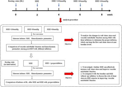 Acute effect of high-intensity <mark class="highlighted">interval exercise</mark> on vascular endothelial function and possible mechanisms of wall shear stress in young obese males